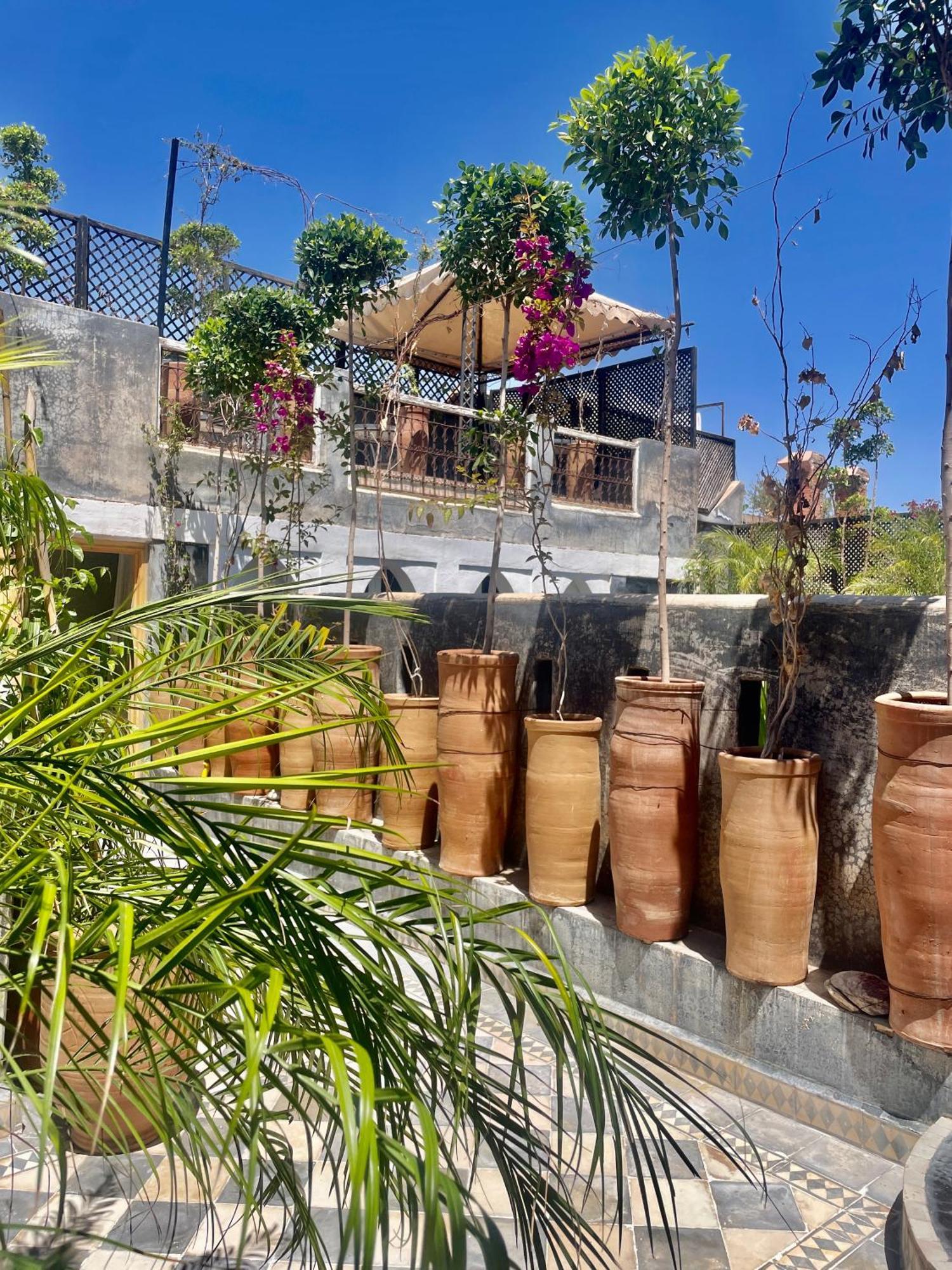 Riad Green Palm Marrakesh Eksteriør billede